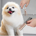 Load image into Gallery viewer, Professional Pet Grooming Comb
