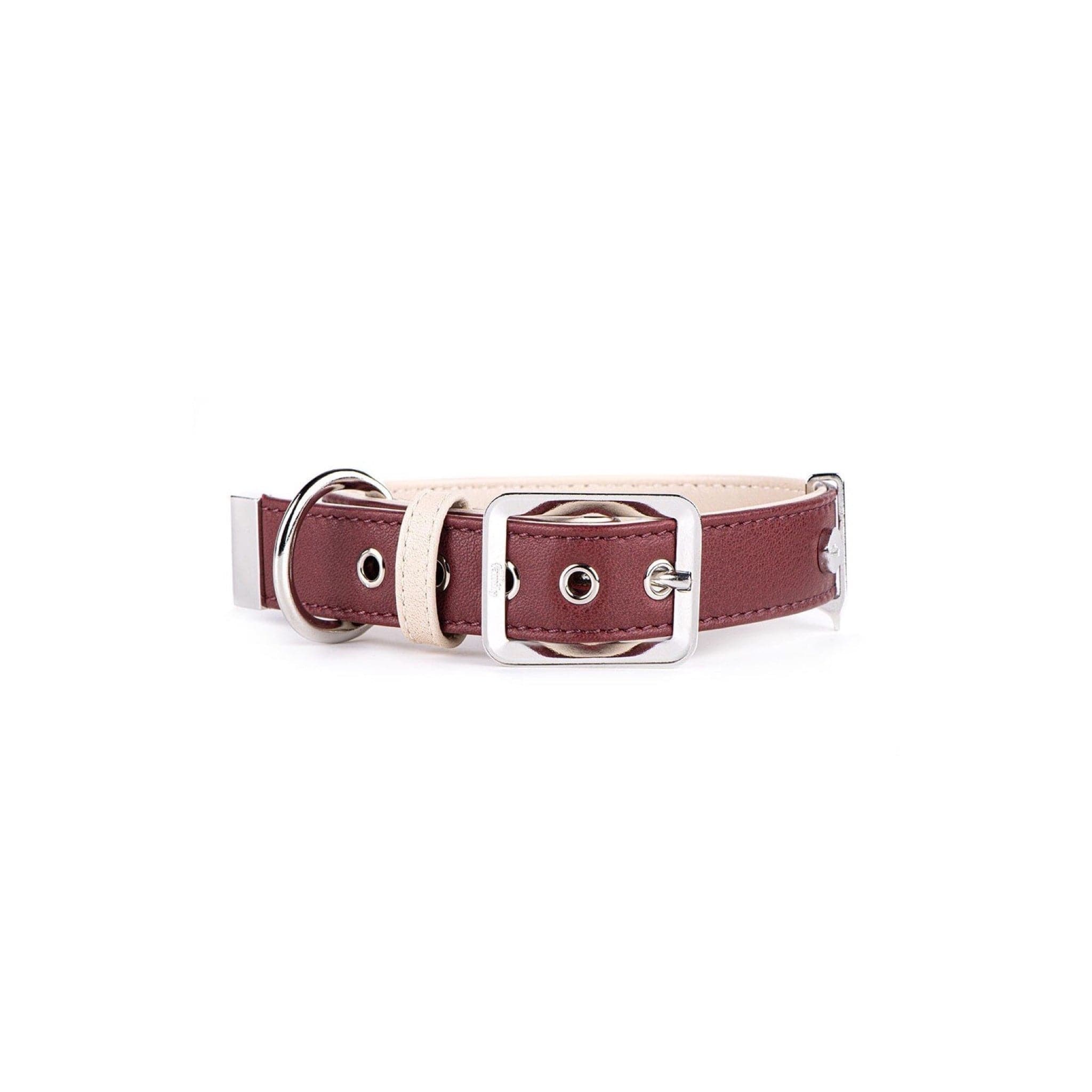 Hermitage Dog Collar