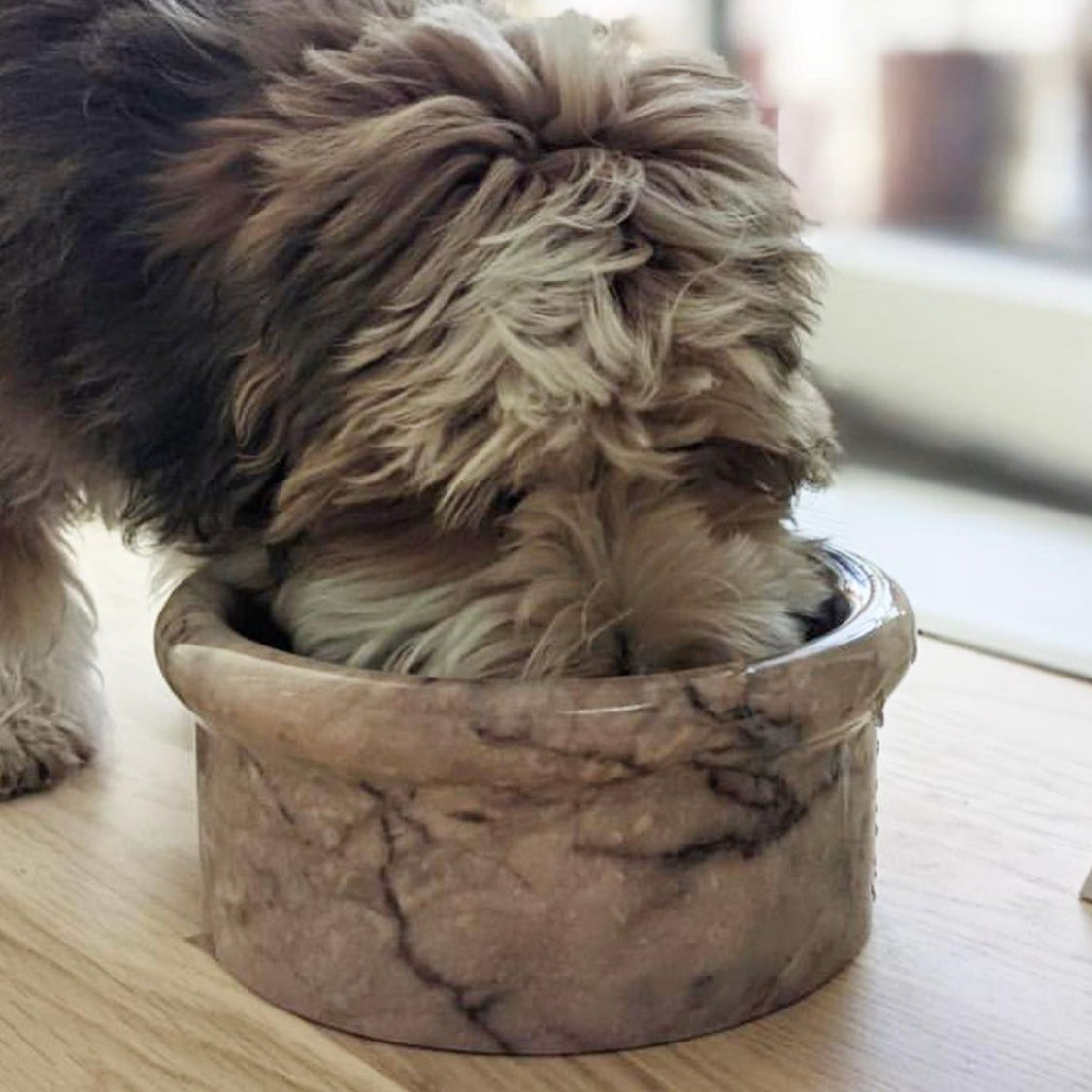 Marbowl Feeding Bowl