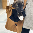 Load image into Gallery viewer, Marsu Tote Bag & Pet Carrier
