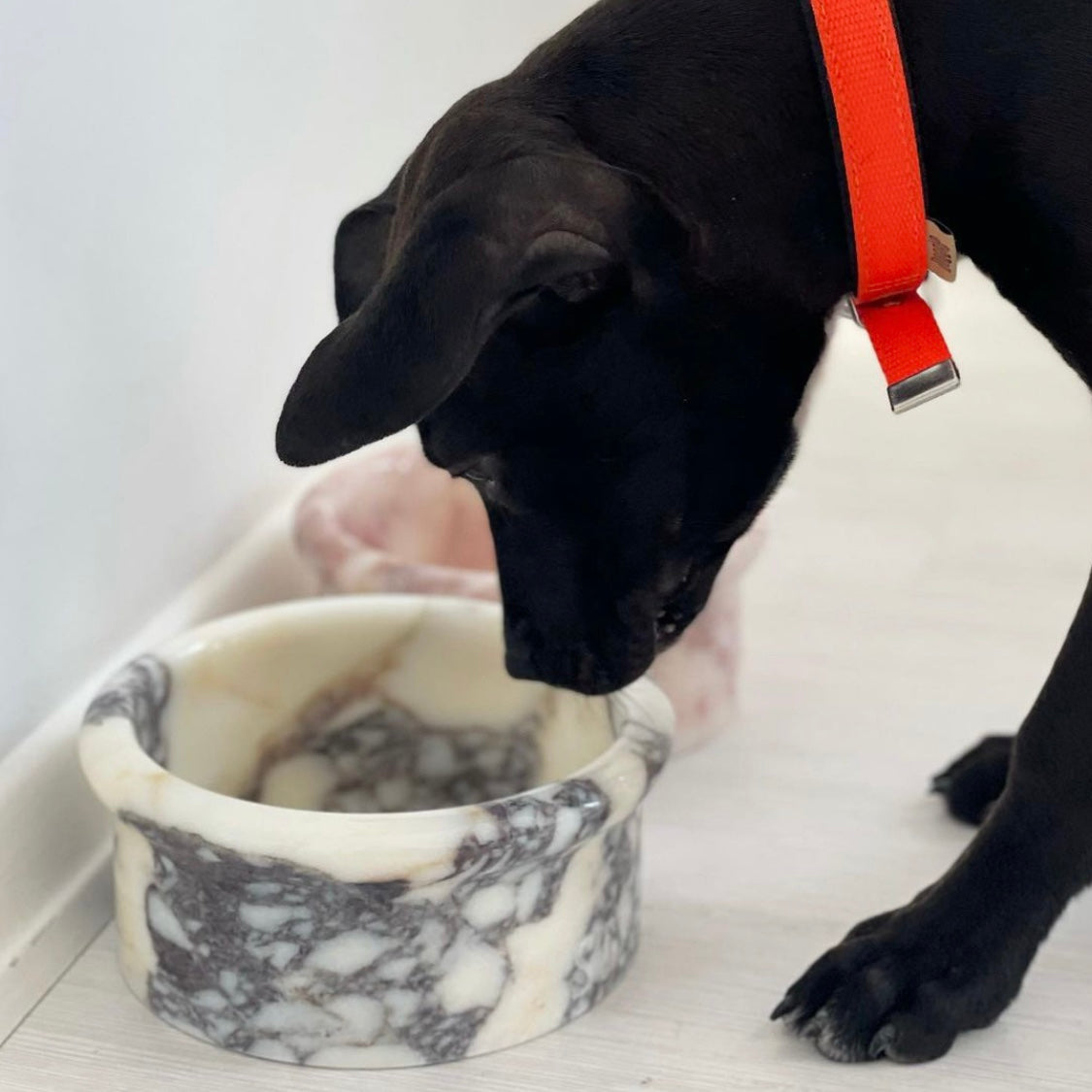 Marbowl Feeding Bowl