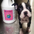 Load image into Gallery viewer, Earthbath Ultra-Mild Puppy Shampoo
