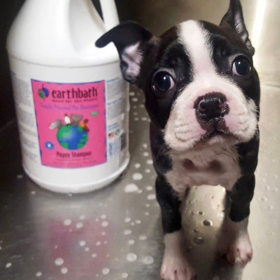 Earthbath Ultra-Mild Puppy Shampoo