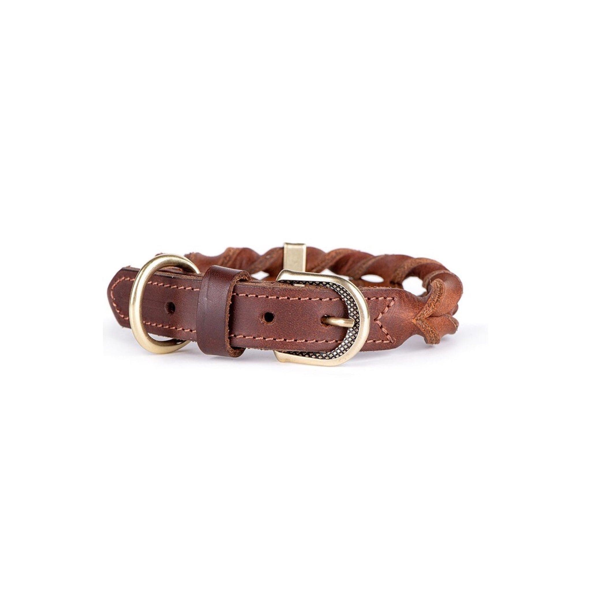 Ascot Dog Collar