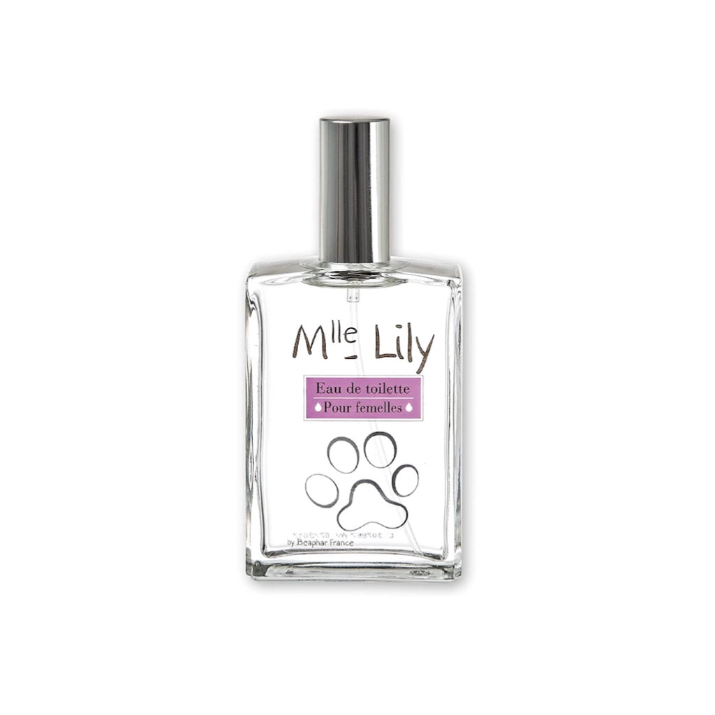 Premium Mrs Lily Perfume for Female Dog