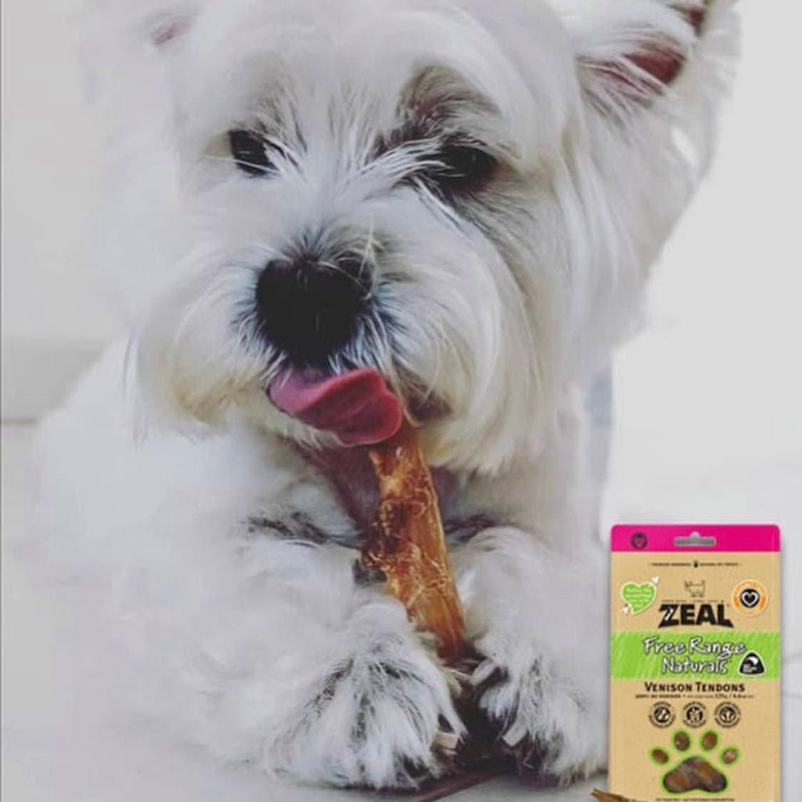 Zeal Venison Tendons Treats for Dogs