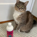 Load image into Gallery viewer, 2-in-1 Conditioning Cat Shampoo - Light Wild Cherry
