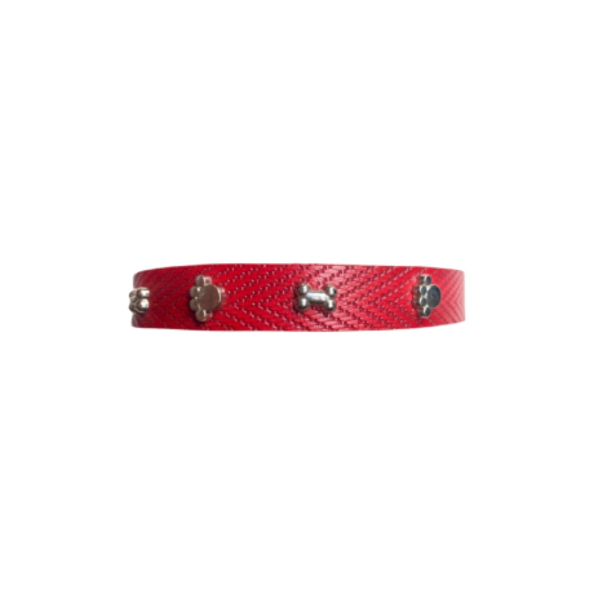 Pawsy Dog Collar