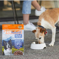 Load image into Gallery viewer, Beef Feast Freeze-Dried Dog Food
