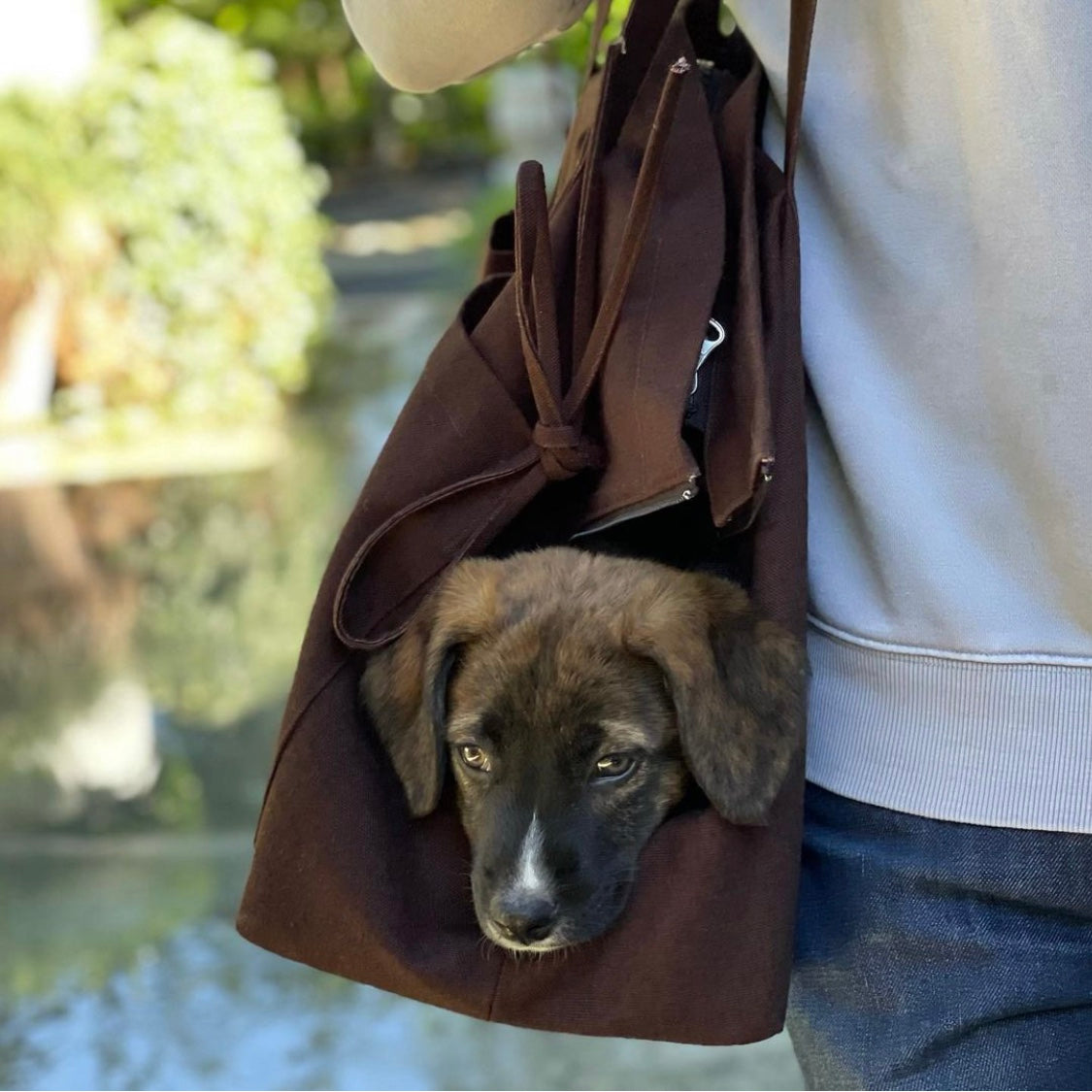 Marsu Tote Bag & Pet Carrier