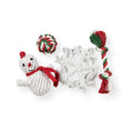 Load image into Gallery viewer, Dog Holiday Stocking Rope Toys Set
