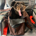 Load image into Gallery viewer, Marsu Tote Bag & Pet Carrier
