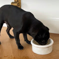 Load image into Gallery viewer, Marbowl Feeding Bowl
