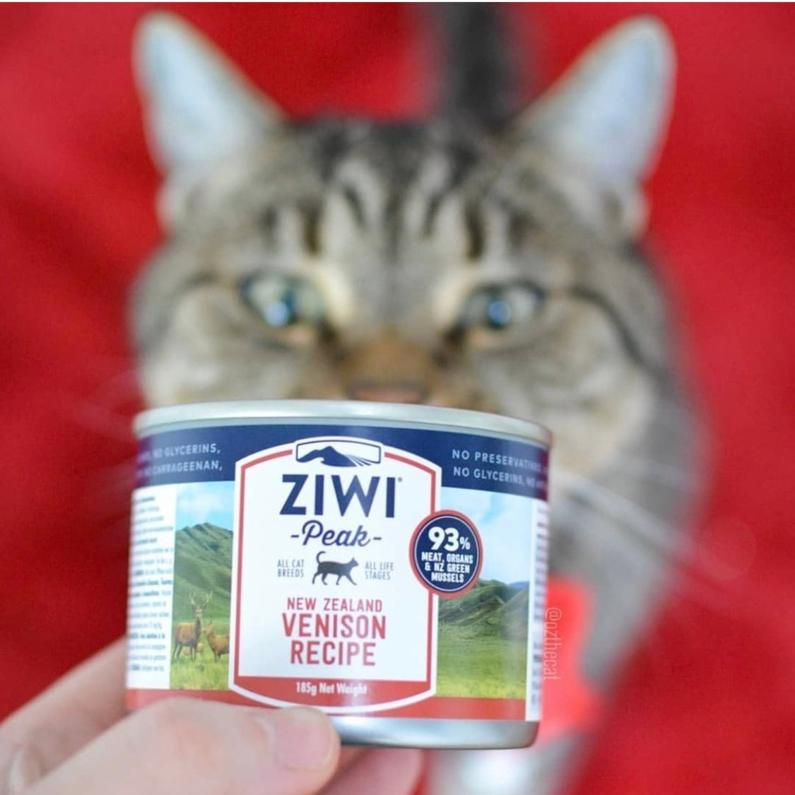 Close-up of Ziwi Peak Wet Venison Cat Food – Featuring the texture and ingredients, including venison and green mussels.