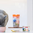 Load image into Gallery viewer, Lamb & King Salmon Feast Canned Cat Food
