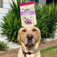 Load image into Gallery viewer, Zeal Dried Venison Puffs Treats - Natural, Nutritious Treats for Pets
