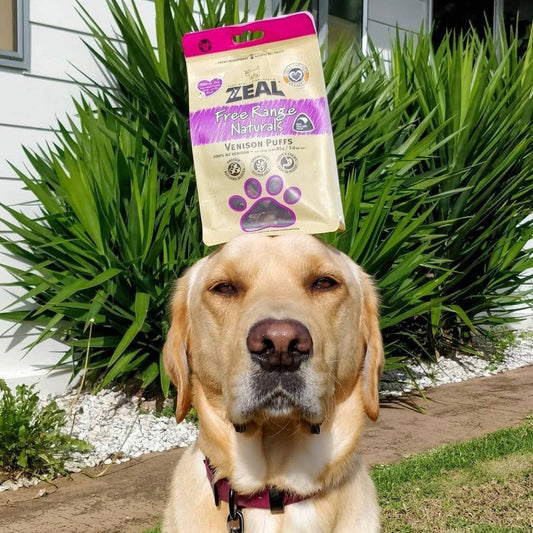 Zeal Dried Venison Puffs Treats - Natural, Nutritious Treats for Pets