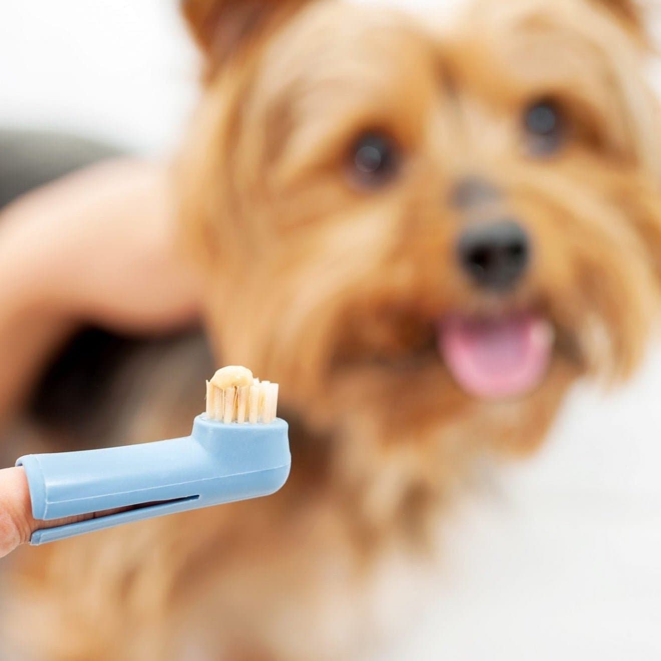 Finger Toothbrush