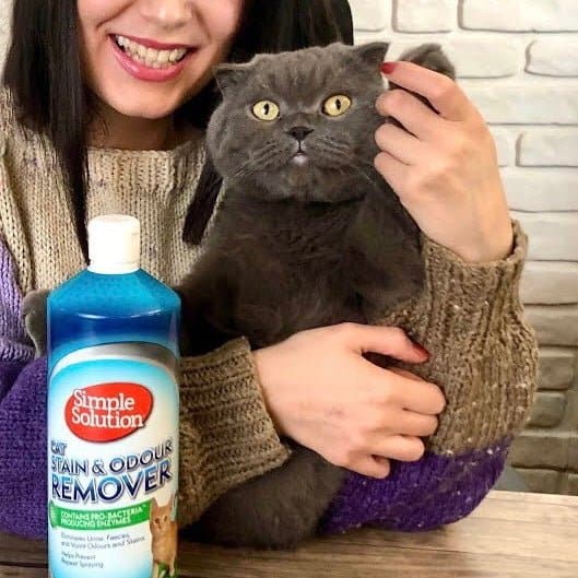Cat Stain and Odour Remover