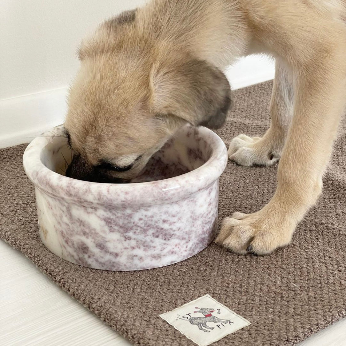 Marbowl Feeding Bowl