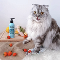 Load image into Gallery viewer,  "Benefits of Omega-3 fatty acids for pets"
