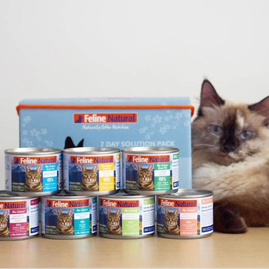 Beef Feast Canned Cat Food