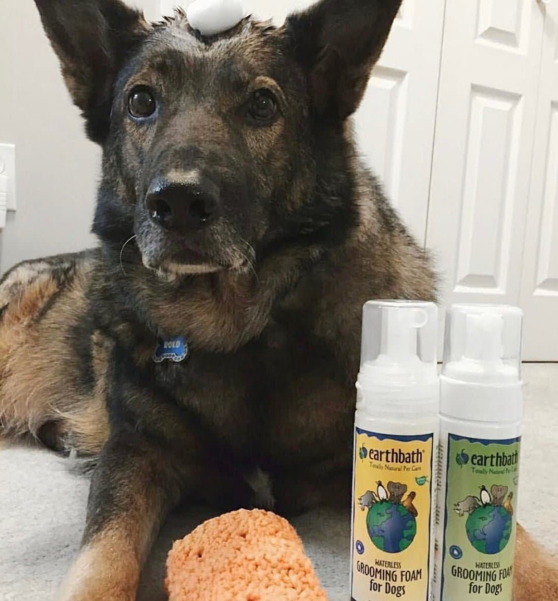 Earthbath Waterless Grooming Foam - For Dogs & Puppies