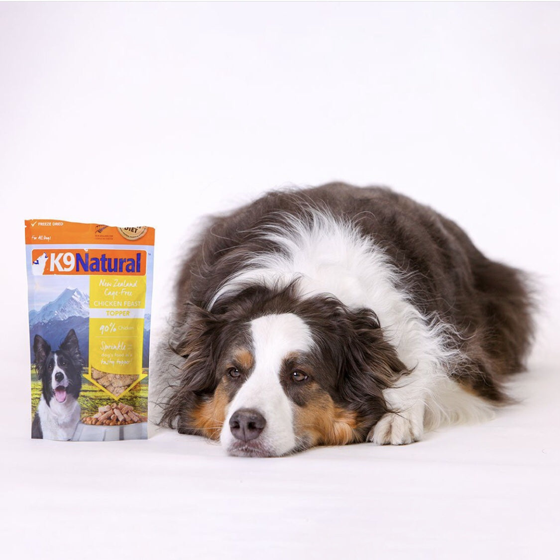 Chicken Freeze-Dried Dog Food Topper