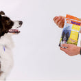 Load image into Gallery viewer, Chicken Freeze-Dried Dog Food Topper
