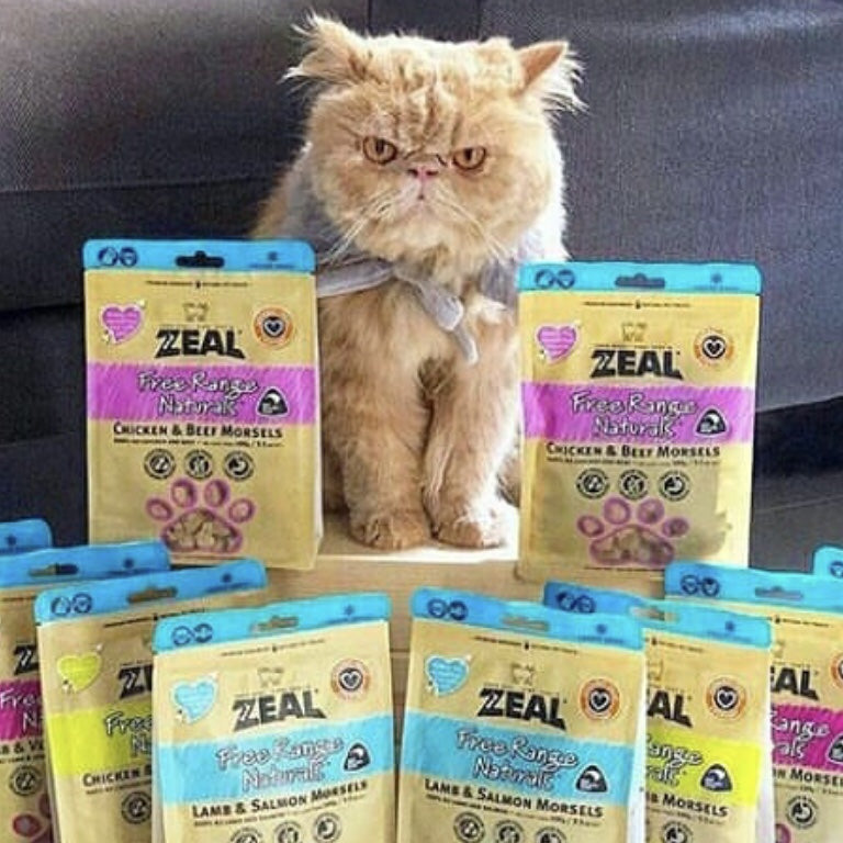 ZEAL Freeze Dried Chicken & Lamb Morsels treats, ideal for training cats and dogs."