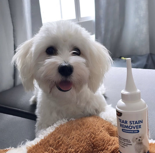 Tear Stains Remover For Dogs &Cats