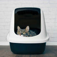 Load image into Gallery viewer, LOKI CLASSIC CAT TOILET
