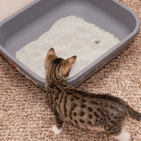 CAT LITTER SET