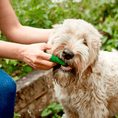 Load image into Gallery viewer, Dental Care Kit For Puppies
